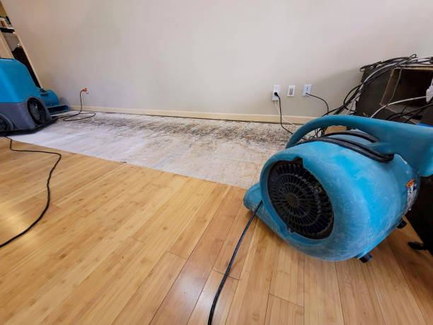 Professional Structural Drying technician working in Commerce, OK